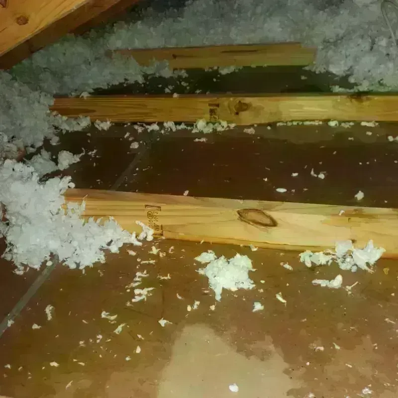 Attic Water Damage in Syracuse, UT