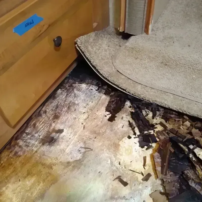 Wood Floor Water Damage in Syracuse, UT